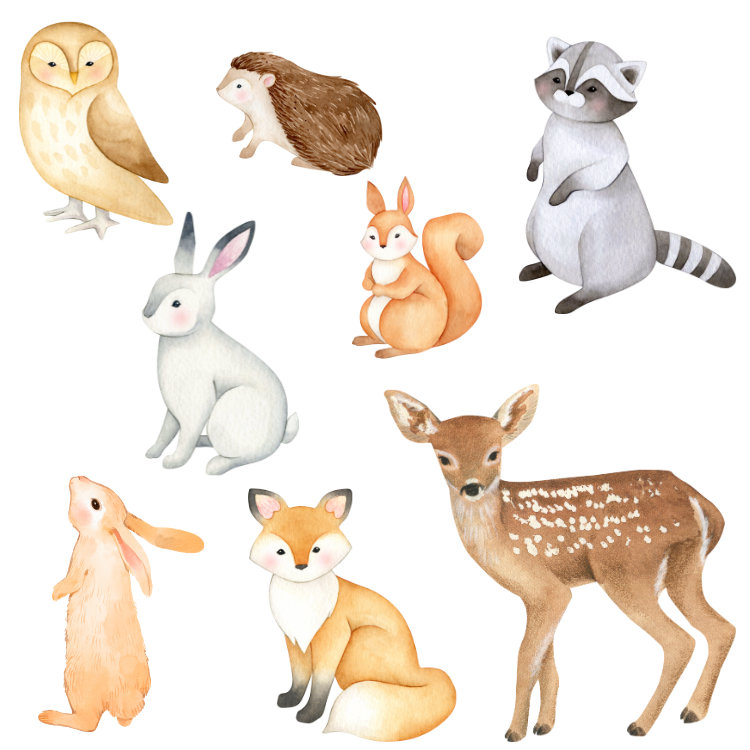 Watercolour Woodland Animals