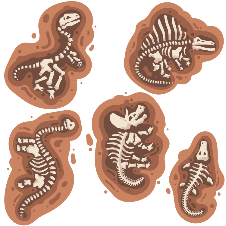 Dinosaur Fossil Wall Decals