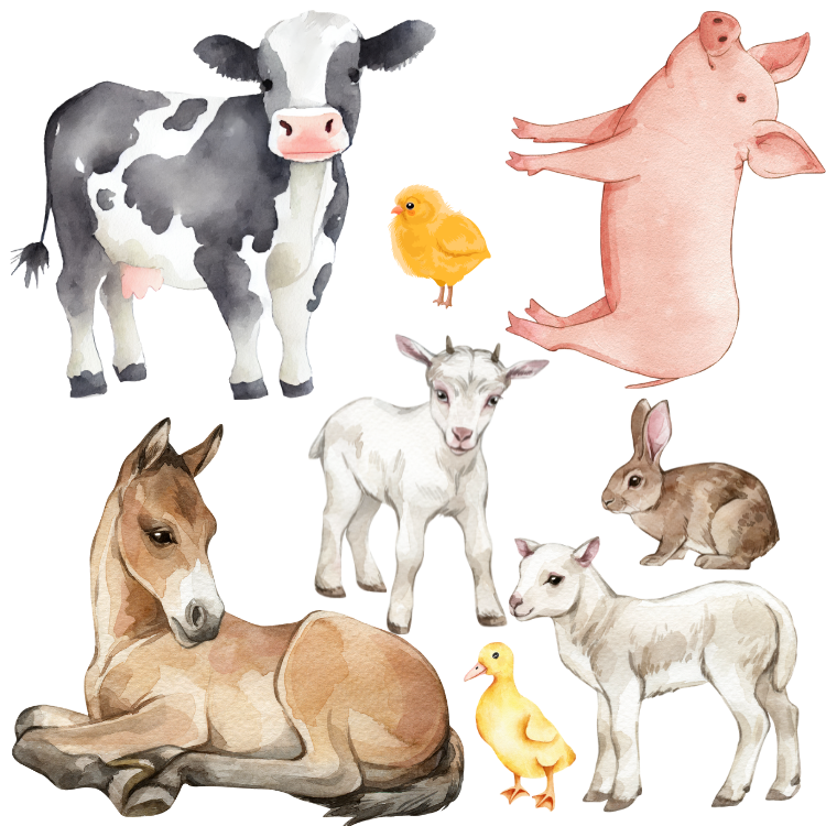 Farm Themed Wall Decals