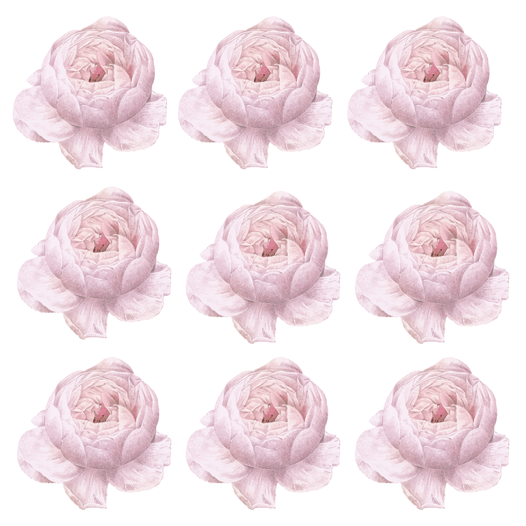 Pink Peony Wall Decals