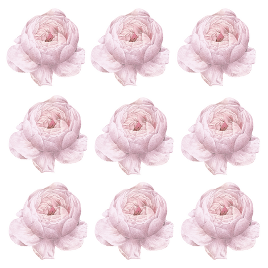 Pink Peony Wall Decals