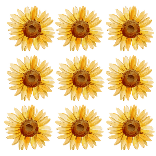 Sunflower Wall Decals
