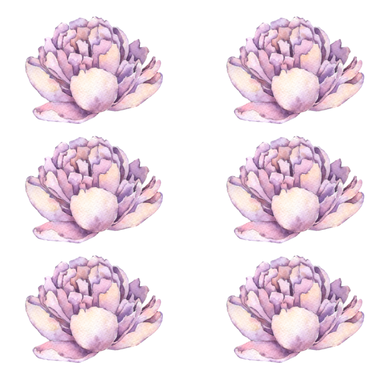 Watercolour Peony Wall Decals