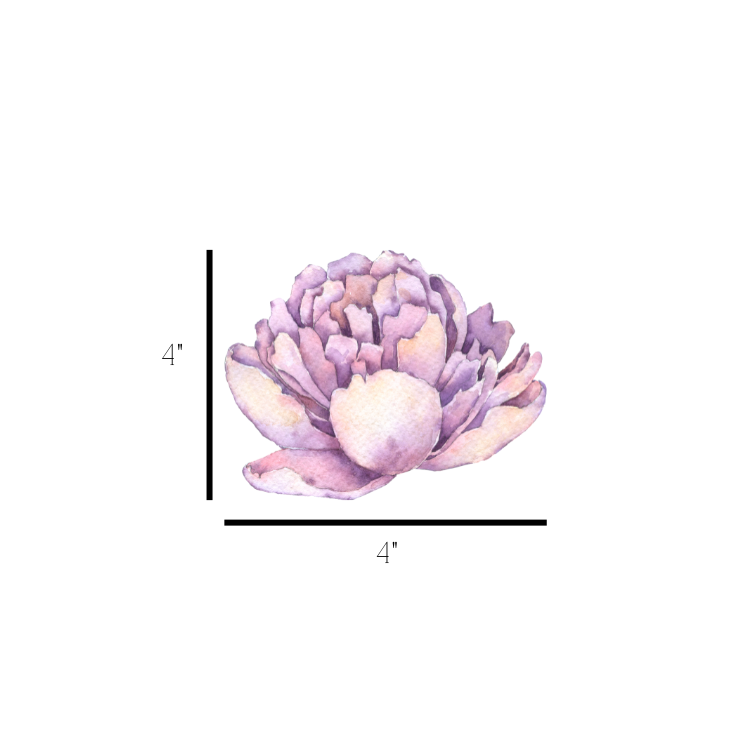 Watercolour Peony Wall Decals