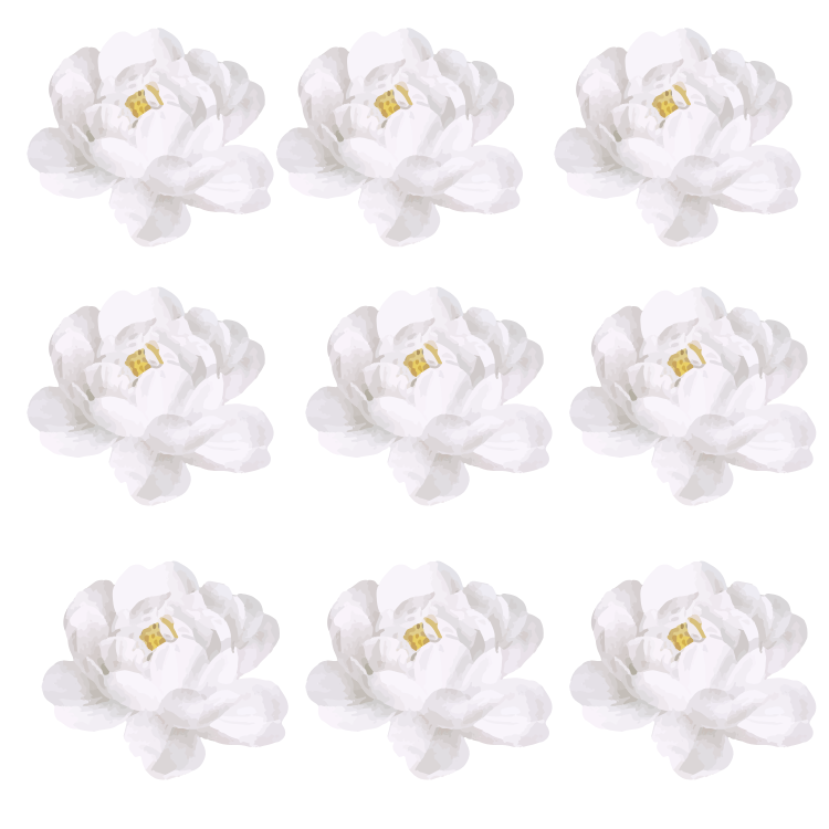 White Peony Wall Decals